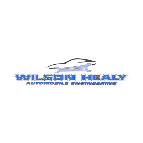Wilson Healy logo